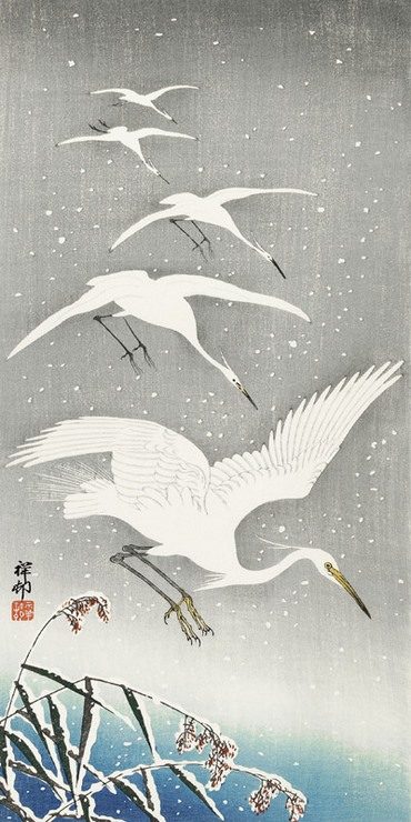 2JP5688-Ohara-Koson-Descending-egrets-in-snow