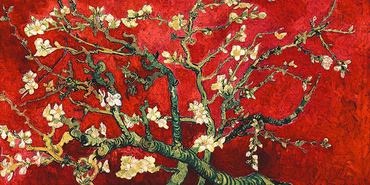 2VG3105-Van-Gogh-Deco--Mandorlo-in-fiore-(red-variation-detail)-PEINTRE-FLEURS-Vincent-van-Gogh