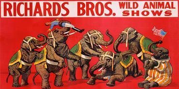 2VI1257-Richards-Bros.-Wild-Animal-Shows-ca.-1925--------------VINTAGE-DECORATIF-Anonymous-