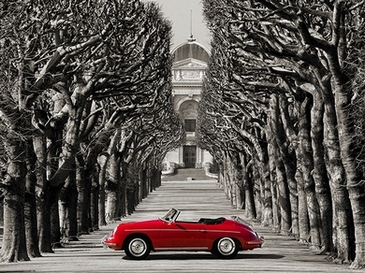 3AP4864-Gasoline-Images-Roadster-in-tree-lined-road-Paris