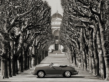 3AP4865-Gasoline-Images-Roadster-in-tree-lined-road,-Paris-(BW)