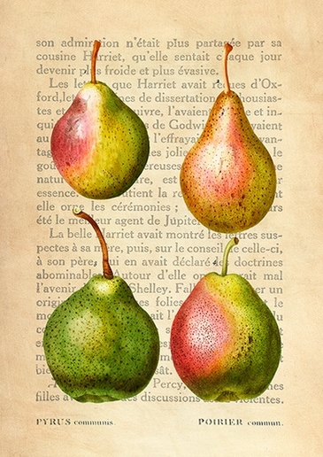 3DE5343-Remy-Dellal-Pears-After-Redoute