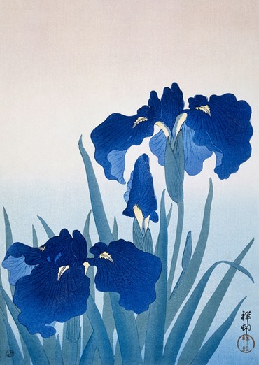 3JP5683-Ohara-Koson-Iris-flowers