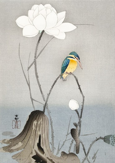 3JP5684-Ohara-Koson-Kingfisher-with-Lotus-Flower