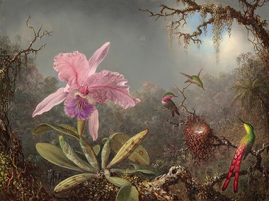 3MH5879-Martin-Johnson-Heade-Cattleya-orchid-and-three-hummingbirds