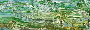 4FK5199-Frank-Krahmer--Rice-Terraces,-Yunnan,-China