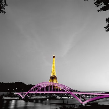ig5410-Shiny-Eiffel-PAYSAGE-URBAIN--Anne-Valverde
