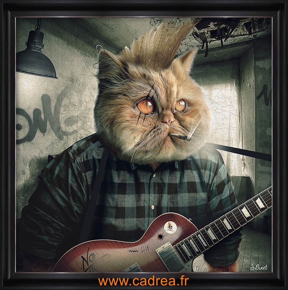 Tableau Alu Encadre Animaux Chat Punk 60x60