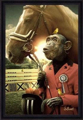 Tableau pvc encadré ANIMAUX Singe cheval 50X70