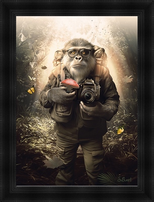 Tableau pvc encadré ANIMAUX Papi singe 50X70