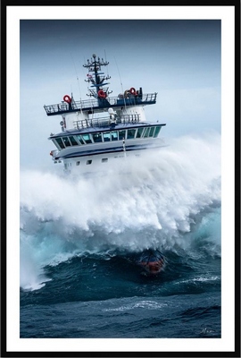 Tableau pvc encadré MER Abeille Bourbon - Tempête Ciaran 4 40X60