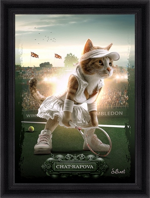 Tableau pvc encadré ANIMAUX Chat-rapova 50X70