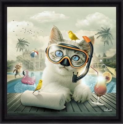 Tableau pvc encadré ANIMAUX Chat piscine 40X40