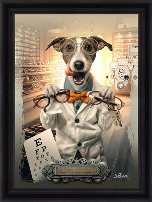 Tableau pvc encadré ANIMAUX Opti-chien 50X70