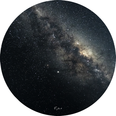 Decoplex PAYSAGE Formplex td cosmos 4mm 100CM