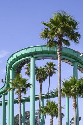 Decoplex PAYSAGE Et Palmbeach  - Emmanuel Téclès 80X120