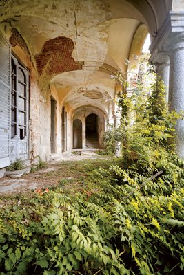 Decoplex URBEX Et Archiflore  - Emmanuel Tecles 80X120