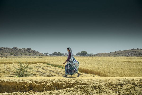 Decoplex PAYSAGE Inde culture - Tony DIVET 80X120