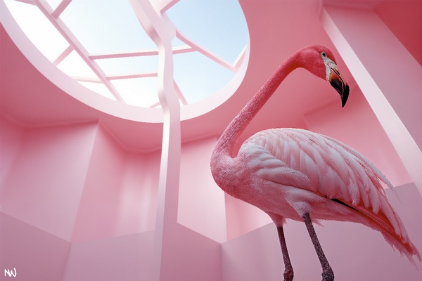 Decoplex ANIMAUX Flirt - Neon WALD 80X120