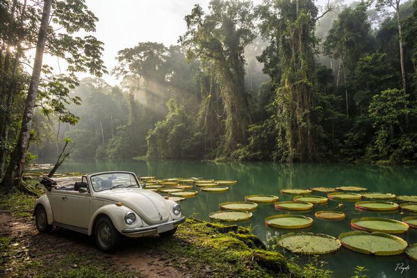 Decoplex AUTOMOBILE Jp Cox  - Jérémy Progate 80X120