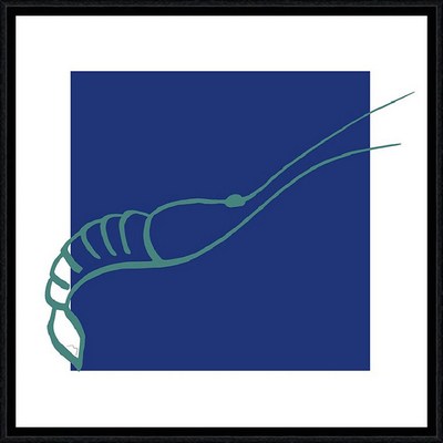 Image encadrée Marine THAËRON MER Crevette vert 40X40