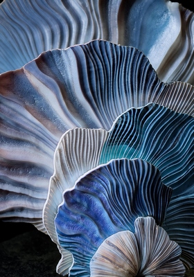 Decoplex MER Under Seashell Sculpture  70X100