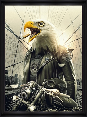 Tableau alu encadré ANIMAUX Aigle motard 50X70
