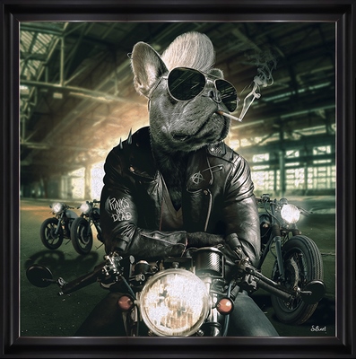 Tableau alu encadré ANIMAUX Chien Motard 60X60