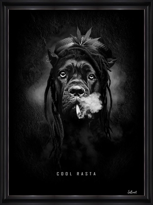 Tableau alu encadré NOIR ET BLANC Cool Rasta 50X70