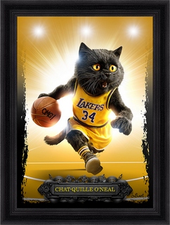 Chat-quille-O-Neal