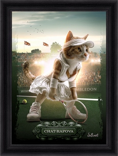 Chat-rapova