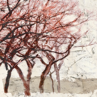 Image 1AI4746 Alessio Aprile Rusty Trees I