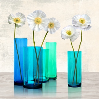 1AN4582-Cynthia-Ann-Poppies-in-crystal-vases-(Aqua-I)-FLEURS-