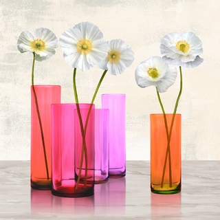 1AN4584-Cynthia-Ann-Poppies-in-crystal-vases-(Purple-I)-FLEURS-