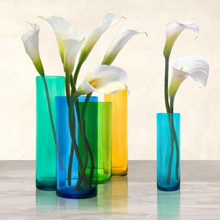 1AN4710-Cynthia-Ann-Callas-in-crystal-vases-II-(detail)-FLEURS-