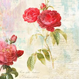 1EH3823-Redoute-s-Roses-2.0-II-FLEURS-FLEURS-Eric-Chestier