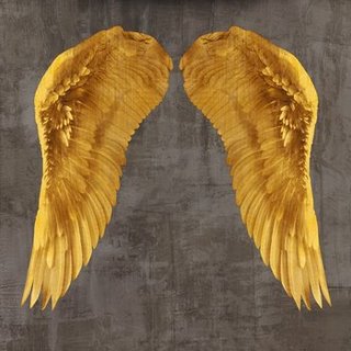 1JO4008-Angel-Wings-I-DECORATIF--Joannoo-