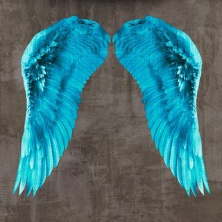1JO4012-Angel-Wings-V-DECORATIF--Joannoo-
