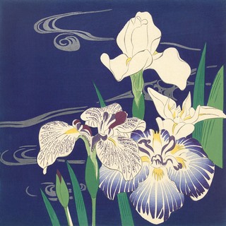 Image 1JP5691 Tsukioka Kôgyo Irises on the Water