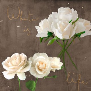 Image 1TR4157 White Roses FLEURS  Rizzardi Teo