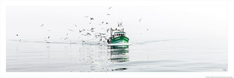 Image Quiberon - Retour de Pêche Philip Plisson MARIN 