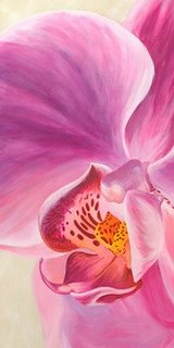 2AN1352-Purple-Orchids-I-FLEURS--Cynthia-Ann