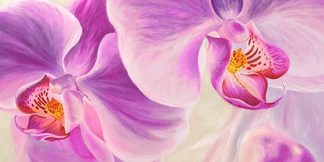 2AN3428-Purple-Orchids-FLEURS--Cynthia-Ann