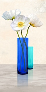 Image 2AN4583 Cynthia Ann Poppies in crystal vases (Aqua II) FLEURS 