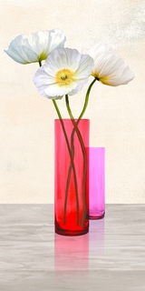2AN4585-Cynthia-Ann-Poppies-in-crystal-vases-(Purple-II)-FLEURS-