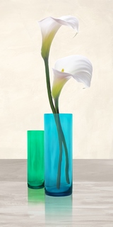 2AN4707-Cynthia-Ann-Callas-in-crystal-vases-I-FLEURS-