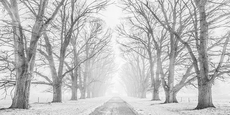 2AP4314-Tree-lined-road-in-the-snow-PAYSAGE--Pangea-Images-