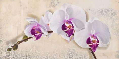 2DO1206-Royal-Orchid-FLEURS-DECORATIF-Elena-Dolci