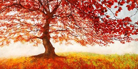 2JE2859-Red-Leaves-PAYSAGE-DECORATIF-Jan-Eelder