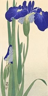 2JP5032-Ohara-Koson-Irises